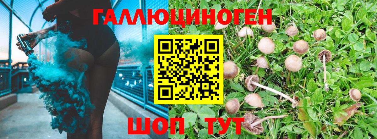 Верхняя Салда  Псилоцибиновые грибы Magic Shrooms  Вход с VPN 