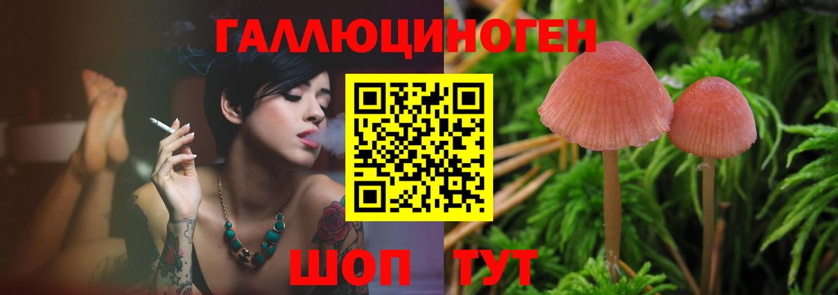 Галлюциногенные грибы Magic Shrooms Верхняя Салда